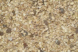 Breakfast Cereal Prints: Muesli