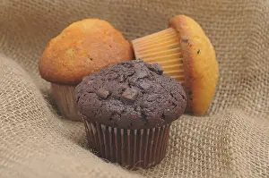 Chocolate Muffin Photography Prints: Muffins