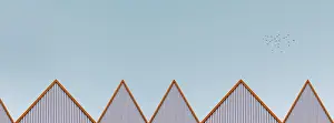 Bird Photography Outdoors Prints: Multi-colored facades of the school with black window frames