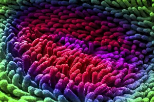 Close Up View Prints: Multicolored fabric close up view