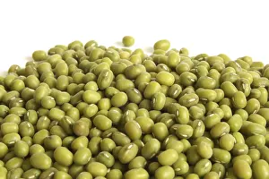 Deserted Garden Background Prints: Mung beans, for backgrounds or textures