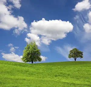 Deserted Countryside Prints: Nature