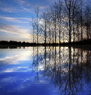 Nature Background Images Prints: Nature background