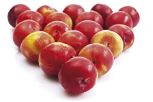 Healthy Eating Tips Prints: Nectarines