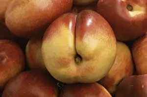 Peach Mutation Prints: Nectarines, a mutation of the peach