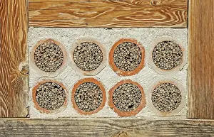 Environmental Protection For Bees Prints: Nesting aid for wild bees