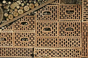 Environmental Protection For Wild Bees Prints: Nesting aids for wild bees