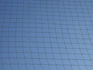 Blue Sky Texture Prints: Net over blue sky texture background