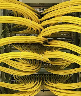 Internet Connection Prints: Network cable on a network HUB Network cable on a network HUB