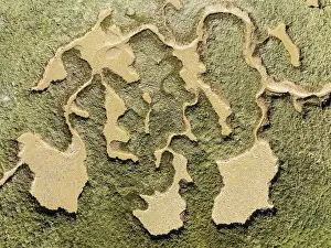 Wetland Biotope In Spain Prints: Network of channels and streams at low tide