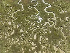 Spain Aerial Photography Prints: Network of channels and streams at low tide