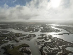 Low Tide Landscape Photography Prints: Network of channels and streams at low tide