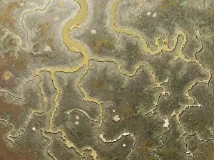 Wet Meadow Landscape Photography Prints: Network of channels and streams at low tide