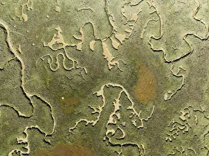 Bird Sanctuary Aerial Photography Prints: Network of channels and streams at low tide