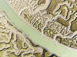 Wetland Biotope In Europe Prints: Network of channels and streams at low tide