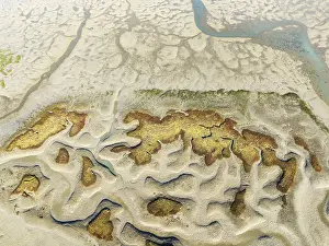 Wetland Biotope In Europe Prints: Network of channels and streams at low tide