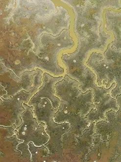 Huelva Province Landscape Prints: Network of channels and streams at low tide