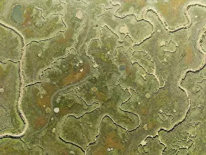 Low Tide In Huelva Province Prints: Network of channels and streams at low tide