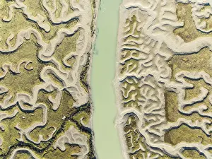 Marshland Landscape Photography Prints: Network of channels and streams at low tide