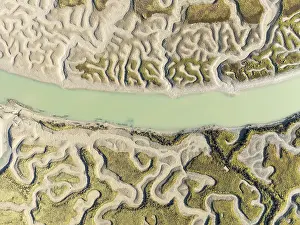 Wetland Biotope In Europe Prints: Network of channels and streams at low tide