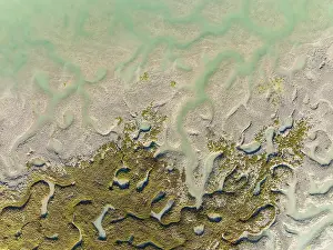 Drone Shot Cadiz Province Prints: Network of channels and streams at low tide