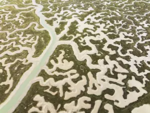 Low Tide Wetland Biotope Prints: Network of channels and streams at low tide
