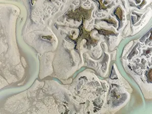 Wetland Biotope In Europe Prints: Network of channels and streams at low tide