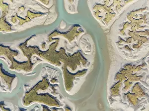 Wetland Biotope In Europe Prints: Network of channels and streams at low tide