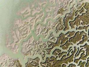 Bird Reserve Aerial Photography Prints: Network of channels and streams at low tide
