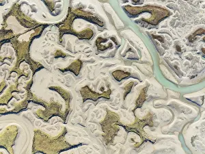 Wetland Biotope In Europe Prints: Network of channels and streams at low tide