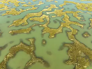 Wetland Biotope Aerial Photography Prints: Network of channels and streams at low tide