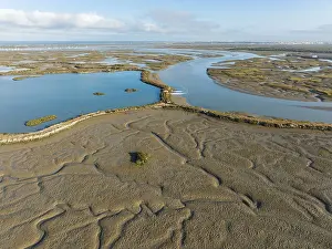 Low Tide Landscape Prints: Network of channels and streams at low tide