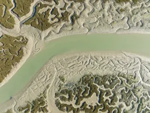 Low Tide In Cádiz Province Prints: Network of channels and streams at low tide