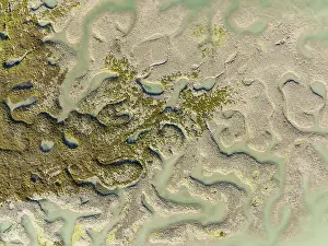 Drone Image Cadiz Province Spain Prints: Network of channels and streams at low tide