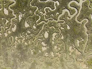 Andalusia Landscape Prints: Network of channels and streams at low tide
