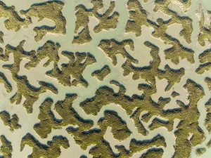 Wetland Biotope In Spain Prints: Network of channels and streams at low tide