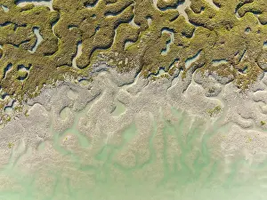 Bird Reserve Aerial Photography Prints: Network of channels and streams at low tide