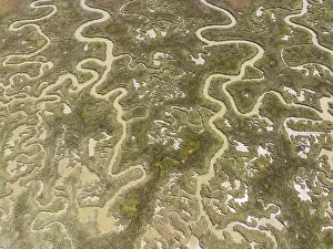 Low Tide In Huelva Province Prints: Network of channels and streams at low tide