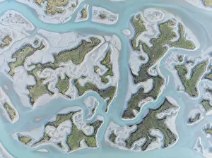 Wetland Biotope In Europe Prints: Network of channels and streams at low tide
