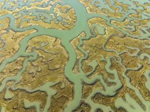 Bird Reserve Aerial Photography Prints: Network of channels and streams at low tide