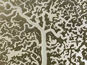 Aerial View of Bahia de Cadiz Marshland Print