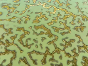 Aerial Landscape Photo With Drone Prints: Network of channels and streams at low tide