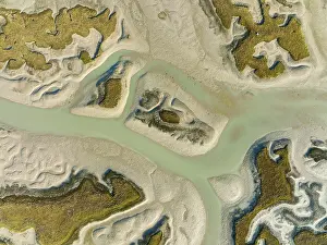Bird Reserve Aerial Photography Prints: Network of channels and streams at low tide
