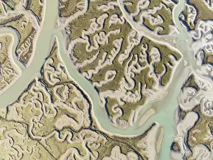 Wetland Biotope In Europe Prints: Network of channels and streams at low tide