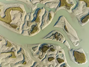 Bird Reserve Aerial Photography Prints: Network of channels and streams at low tide
