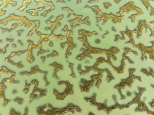 Low Tide River Landscape Prints: Network of channels and streams at low tide