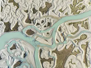 Wetland Biotope In Europe Prints: Network of channels and streams at low tide