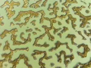 Drone Shot Cadiz Province Prints: Network of channels and streams at low tide