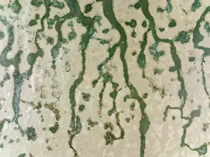 Drone Shot Cadiz Province Prints: Network of channels and streams at low tide