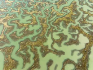 Southern Europe Nature Reserve Prints: Network of channels and streams at low tide